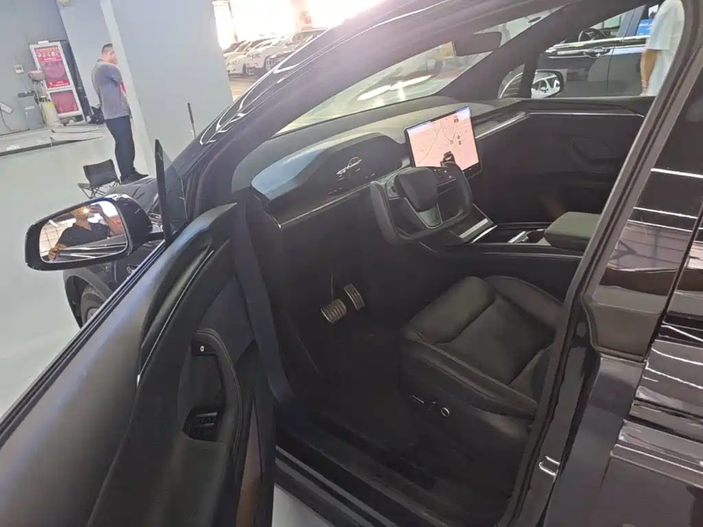 Tesla Model X — миниатюра 16