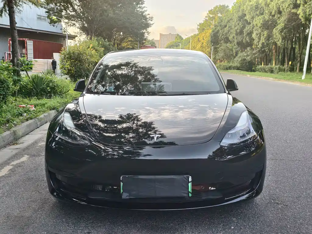 Tesla Model 3 — миниатюра 2
