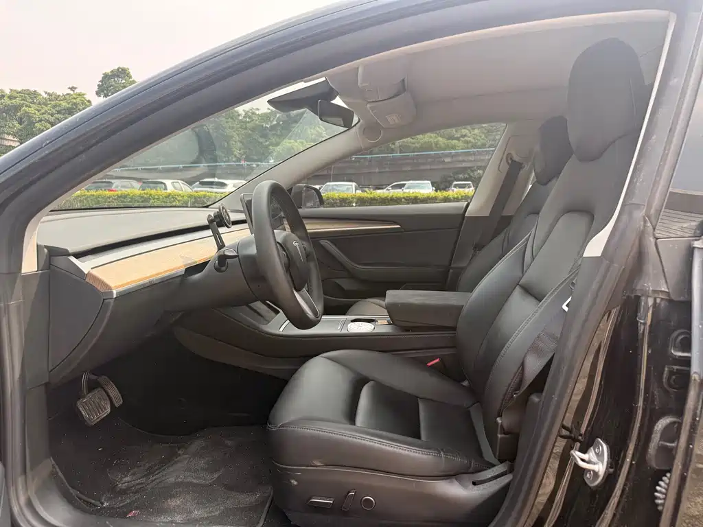Tesla Model 3 — миниатюра 5