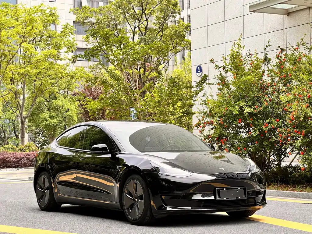 Tesla Model 3 — миниатюра 3