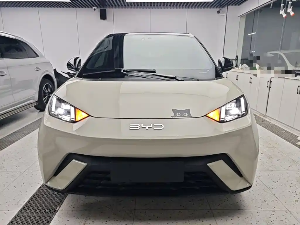 BYD Seagull — миниатюра 3