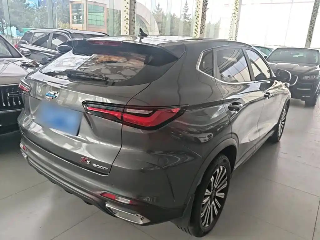 Oshan Oushang X5 — миниатюра 7