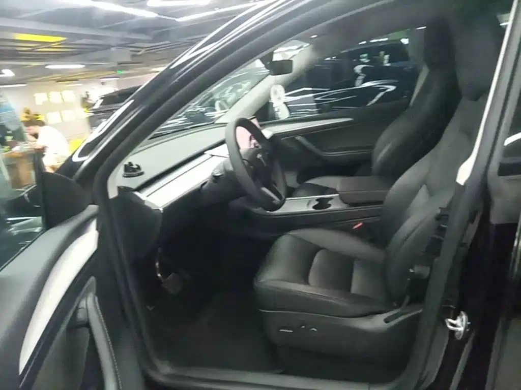 Tesla Model Y — миниатюра 16