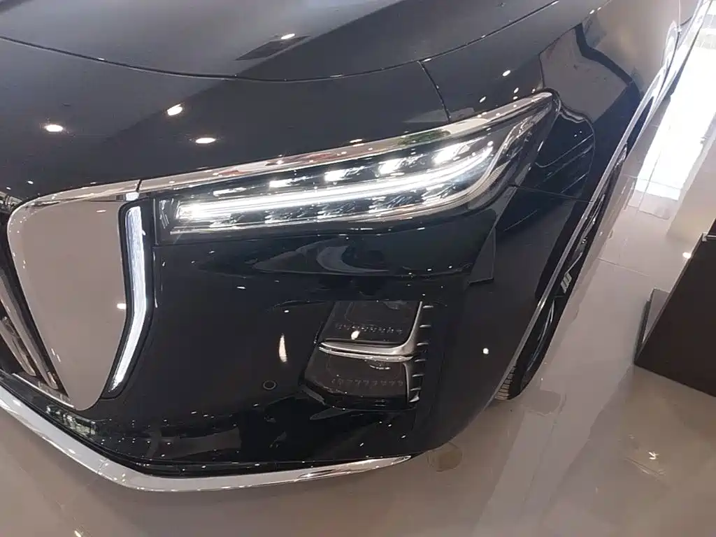Hongqi Hongqi H5 PHEV — миниатюра 24