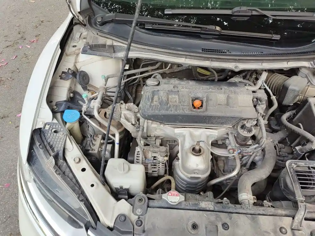 Honda Jade — миниатюра 20