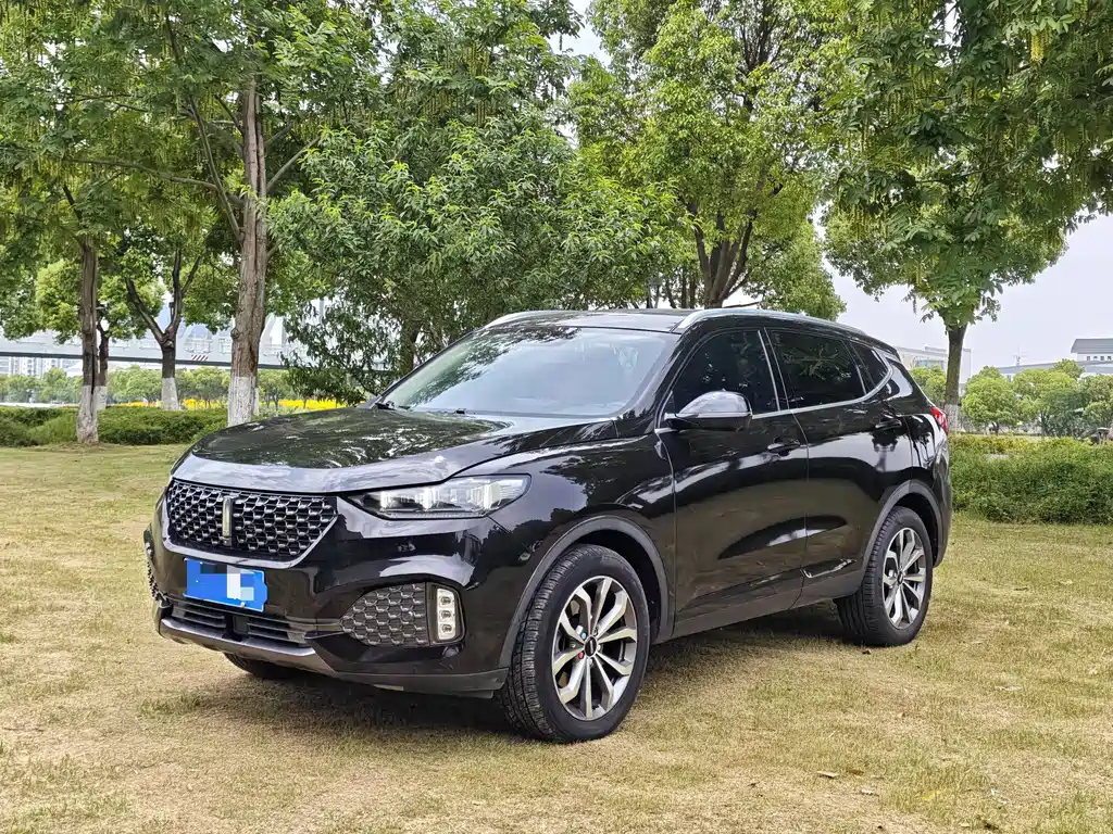 Wey Wey VV6 2020