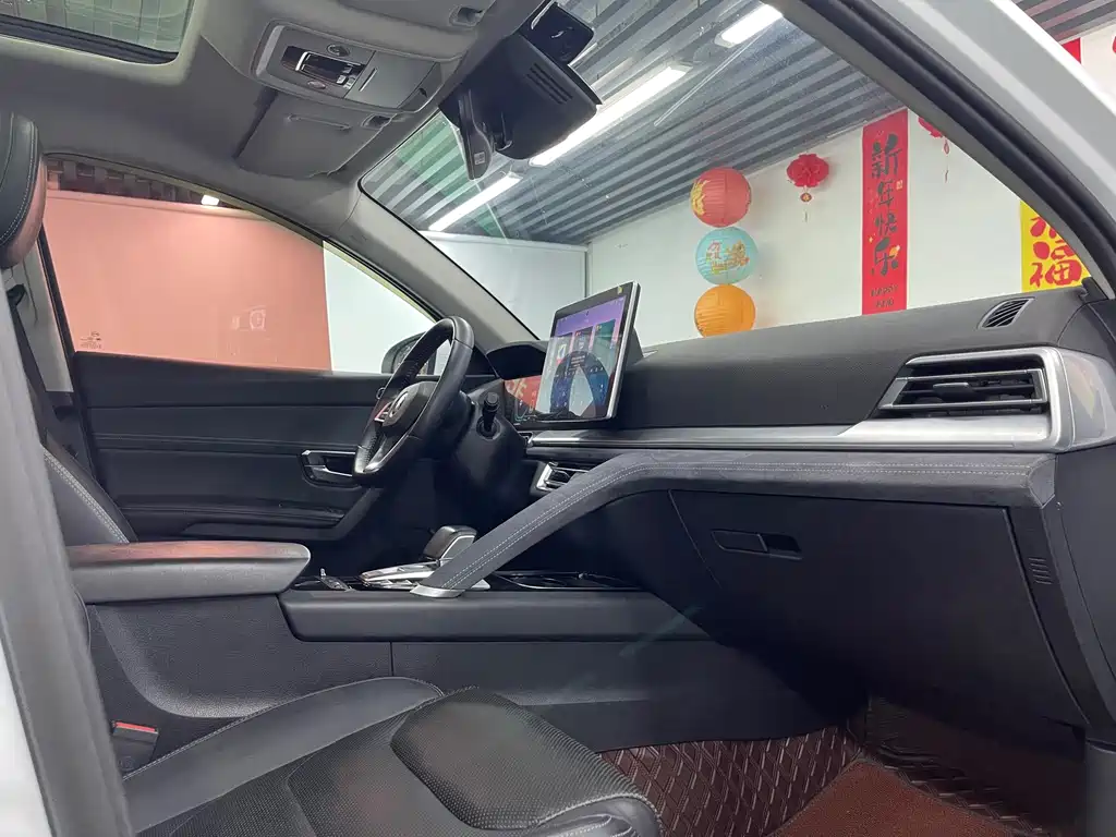 BYD Pro New Energy — миниатюра 24