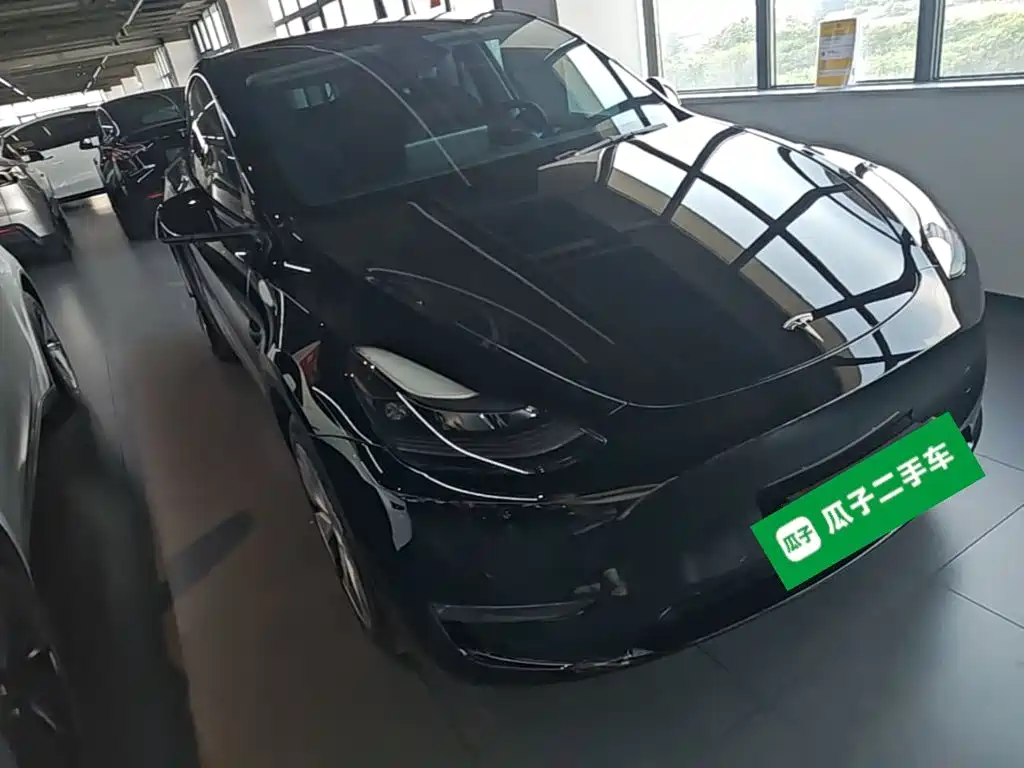 Tesla Model Y — миниатюра 4
