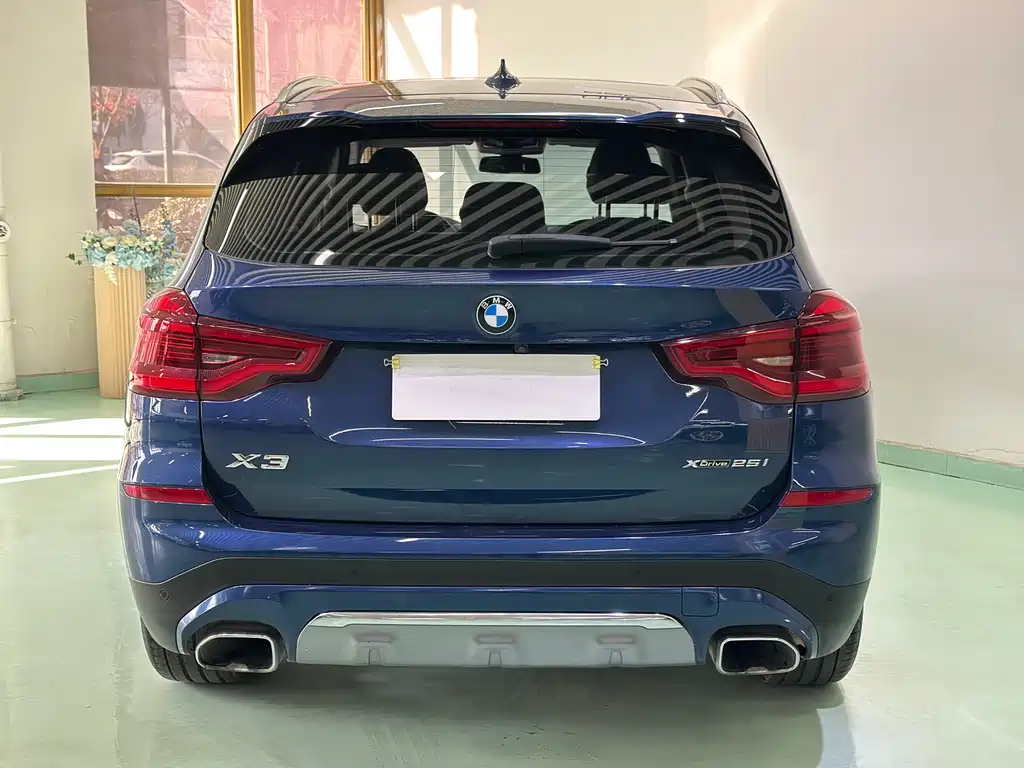 BMW X3 2018 xDrive25i Luxury VI