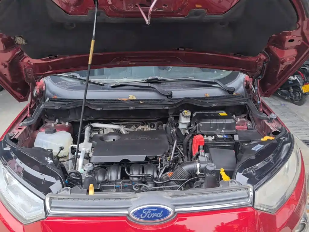 Ford Ecosport — миниатюра 20