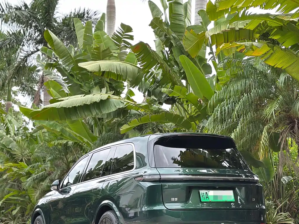 Li Auto Li L9 — миниатюра 8