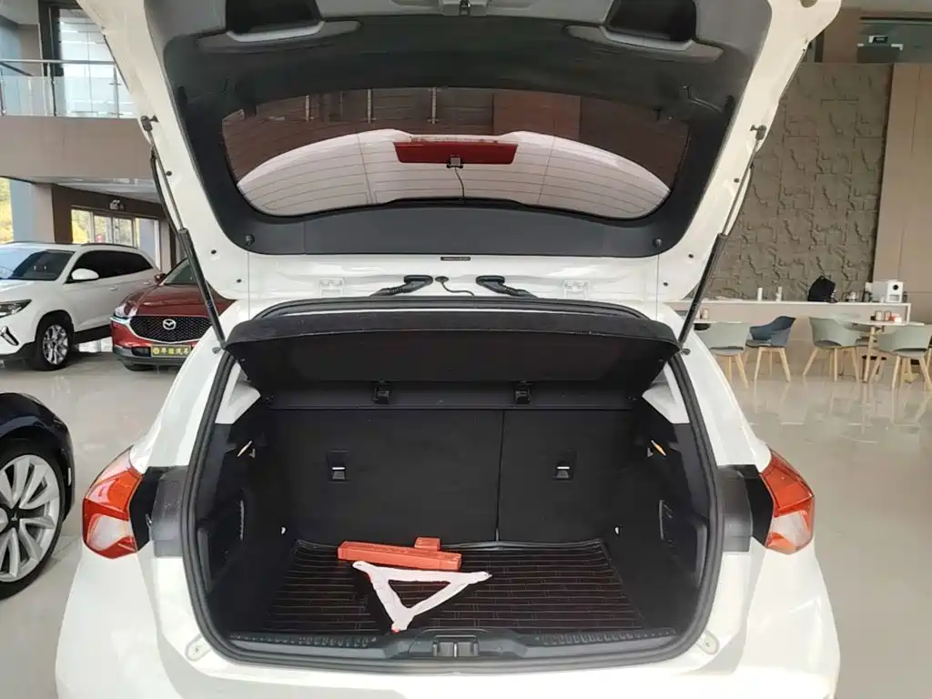 Ford Focus — миниатюра 19