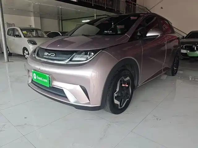 2022 BYD Dolphin