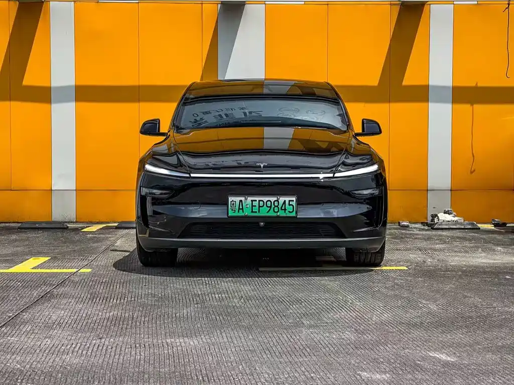 Tesla Model Y — миниатюра 2