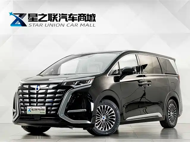 2024 Denza D9