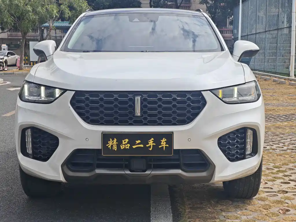 WEI PAI WEI BRAND VV5