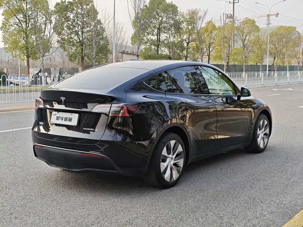 Tesla Model Y — миниатюра 12