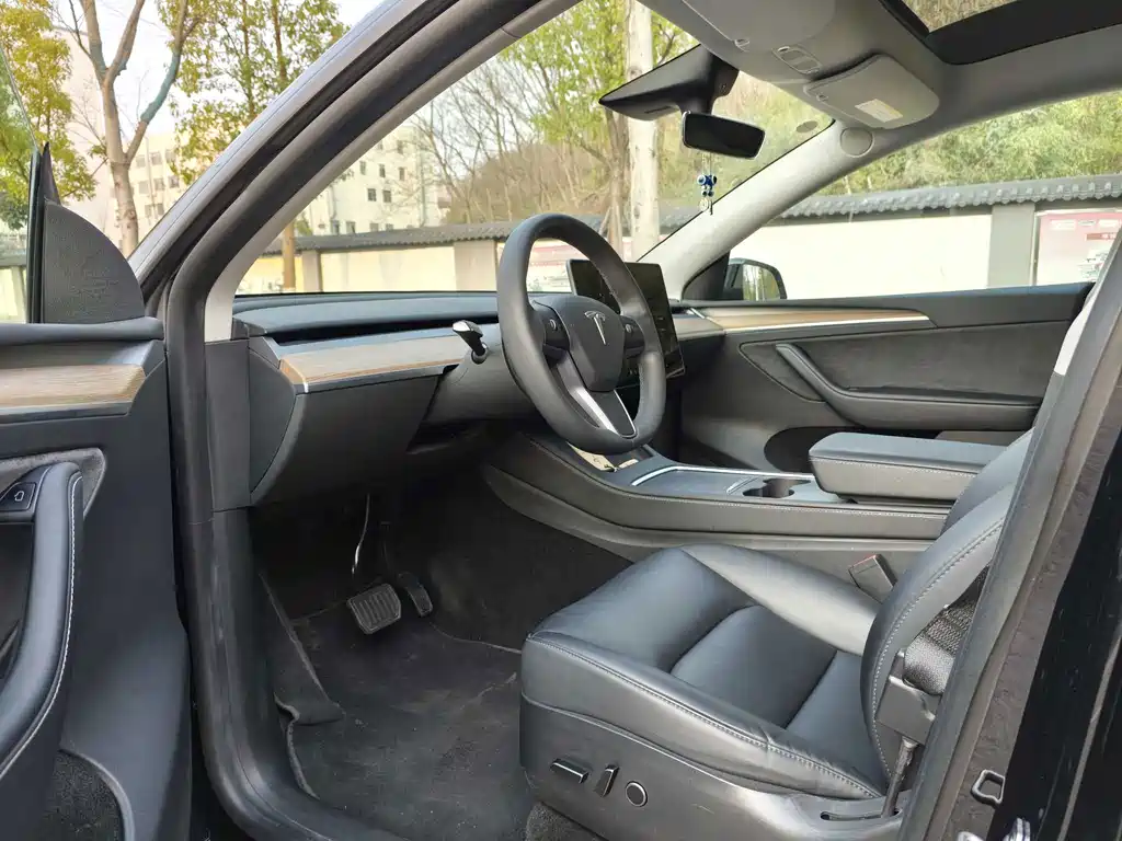 Tesla Model Y — миниатюра 14