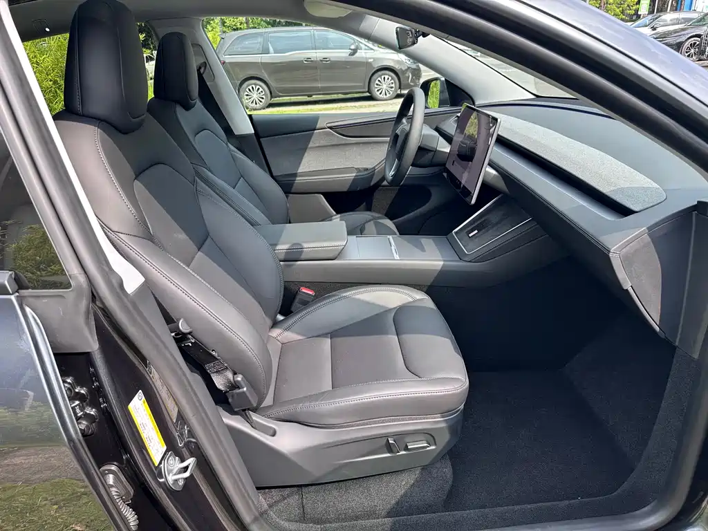 Tesla Model Y — миниатюра 22