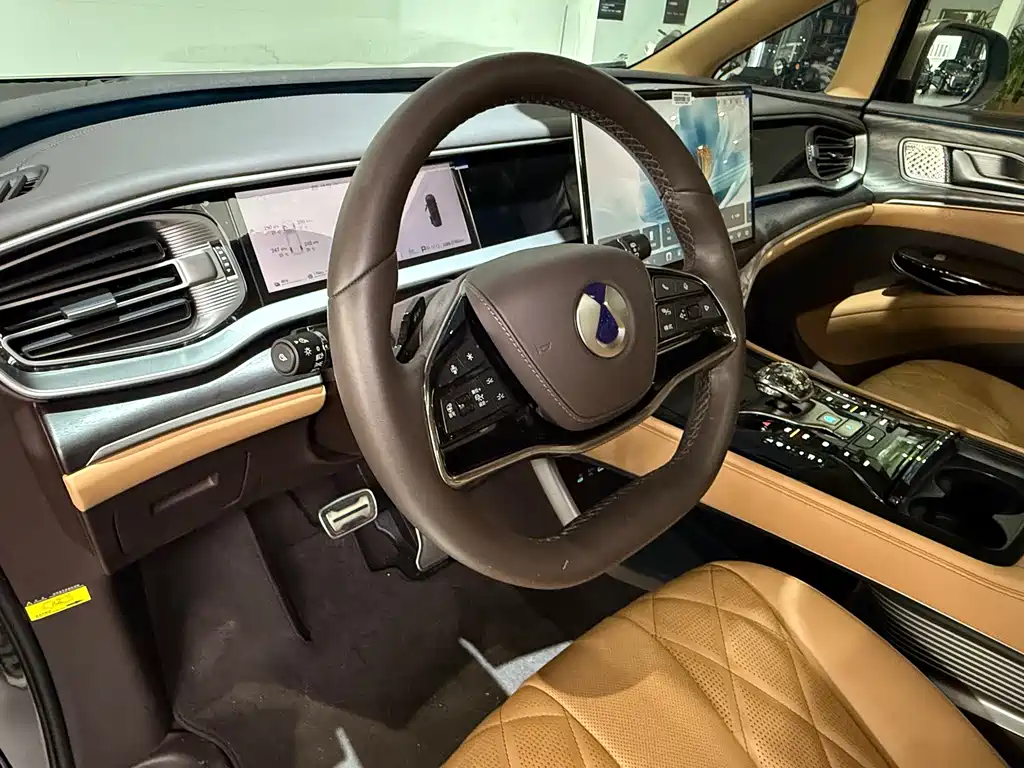 Denza Denza D9 — миниатюра 15
