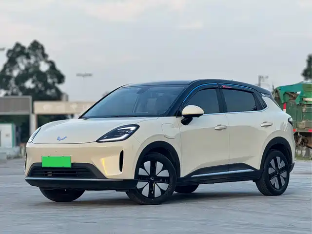 2025 Wuling Motors Binguo