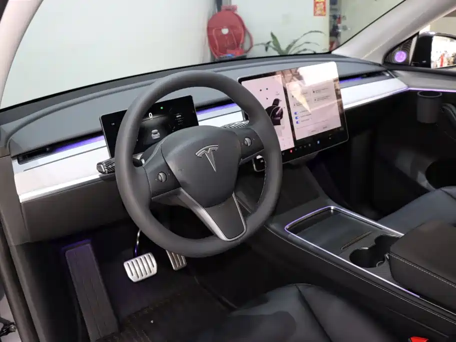 Tesla Model Y — миниатюра 10