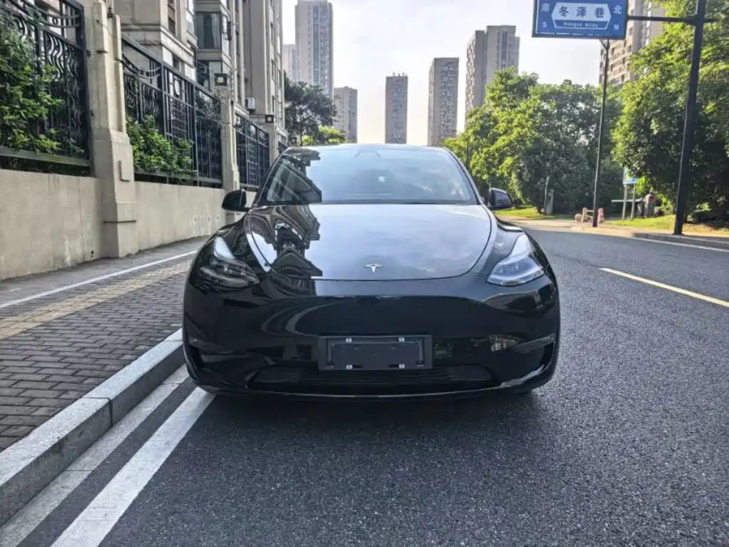 Tesla Model Y — миниатюра 2
