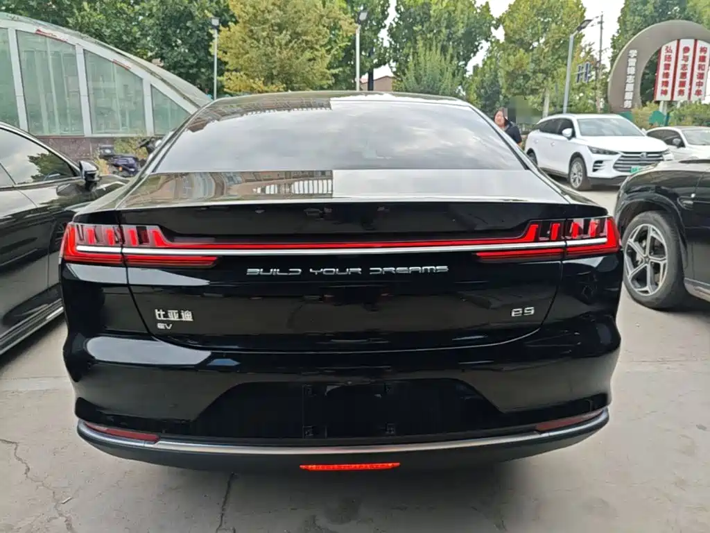 BYD e9 — миниатюра 6