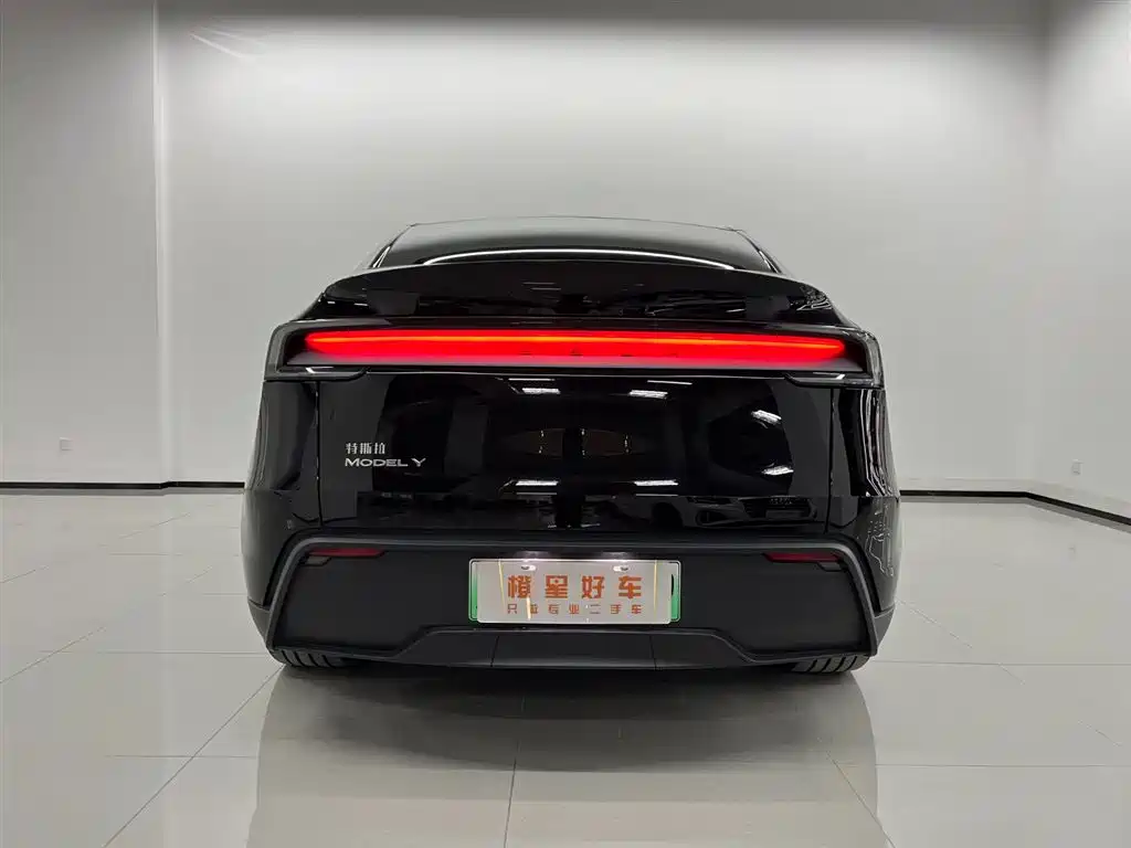 Tesla Model Y — миниатюра 5