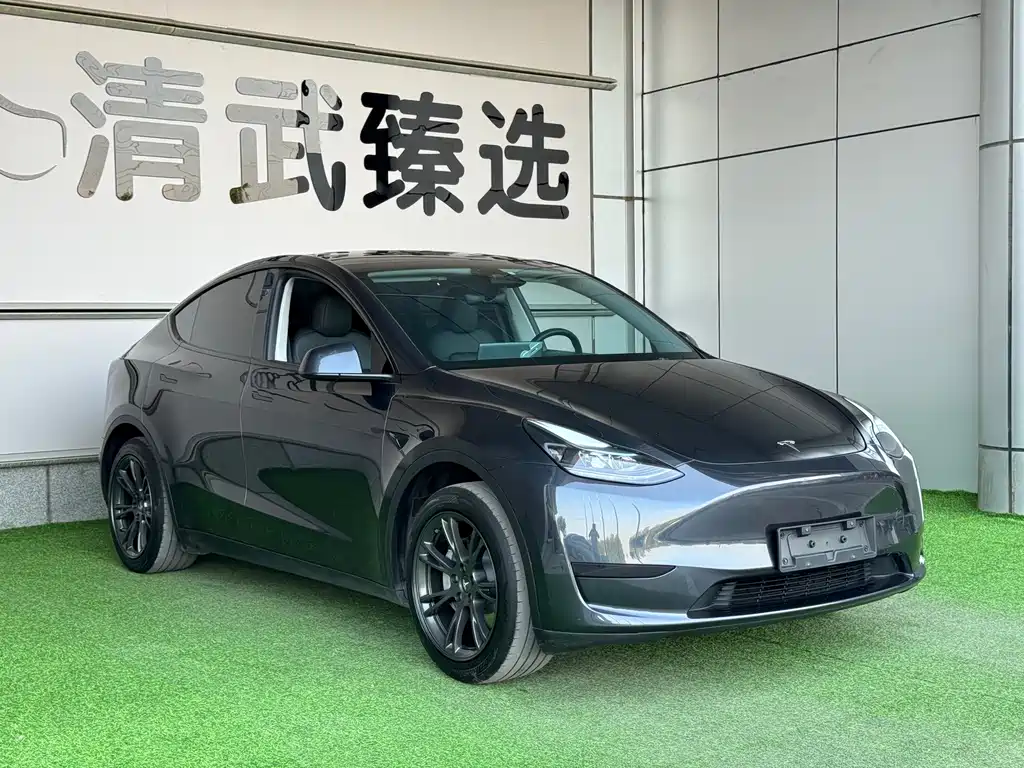Tesla Model Y — миниатюра 3