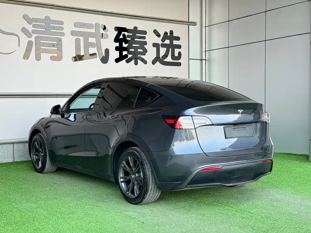 Tesla Model Y — миниатюра 15