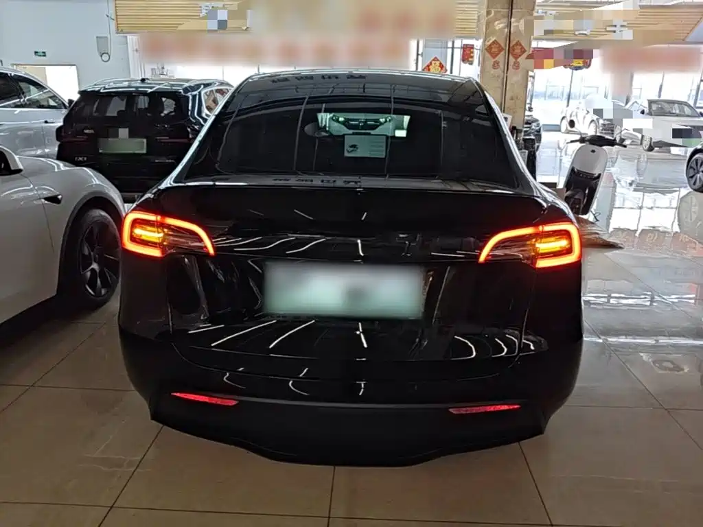 Tesla Model Y — миниатюра 6