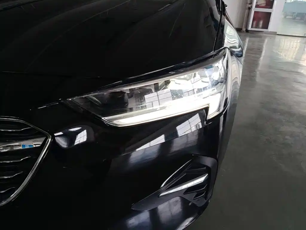 Buick Regal — миниатюра 24