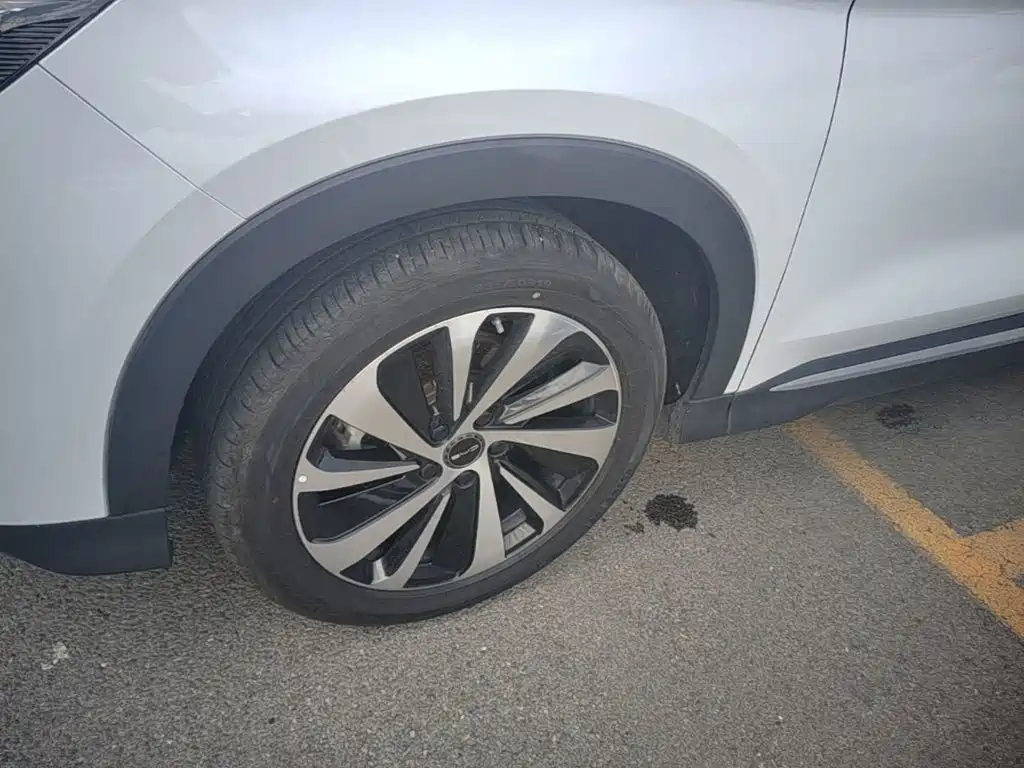 BYD PLUS New Energy — миниатюра 23