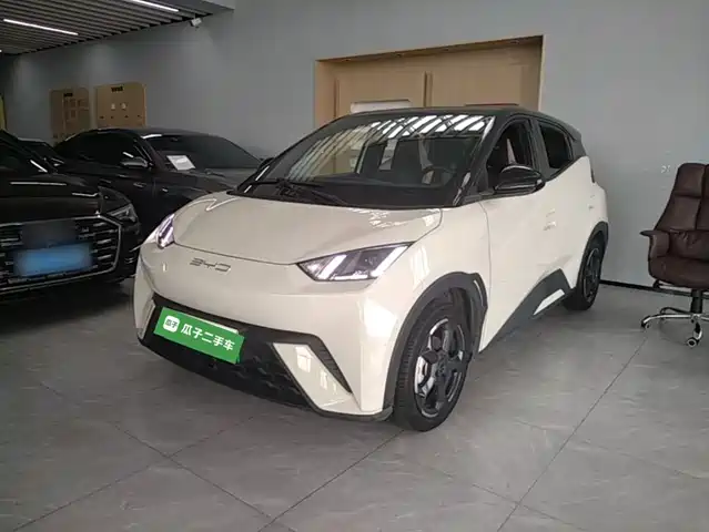2024 BYD Seagull