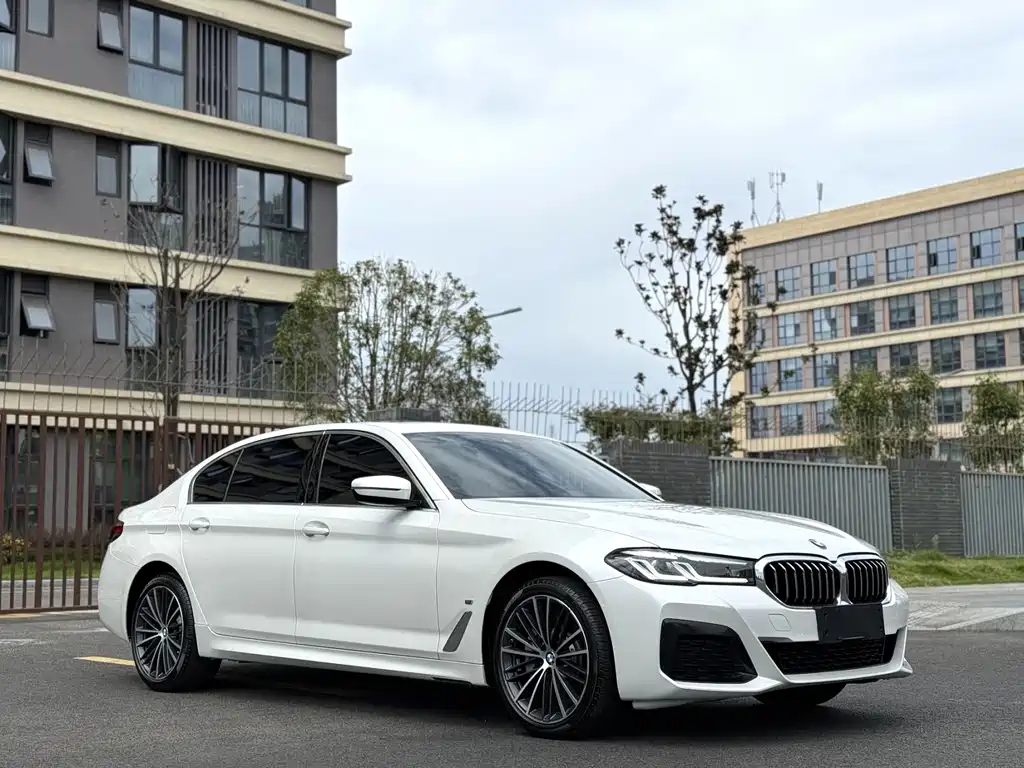 BMW 5 Series — миниатюра 3