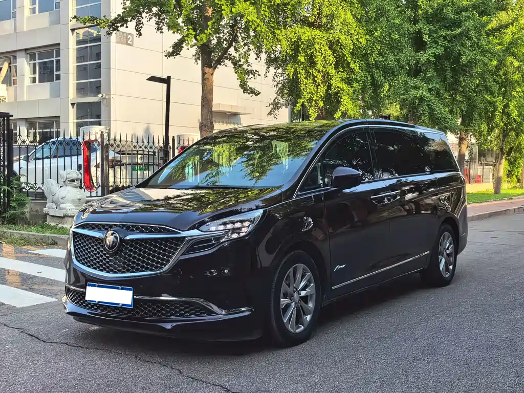 Buick GL8 2022 Avenir мест