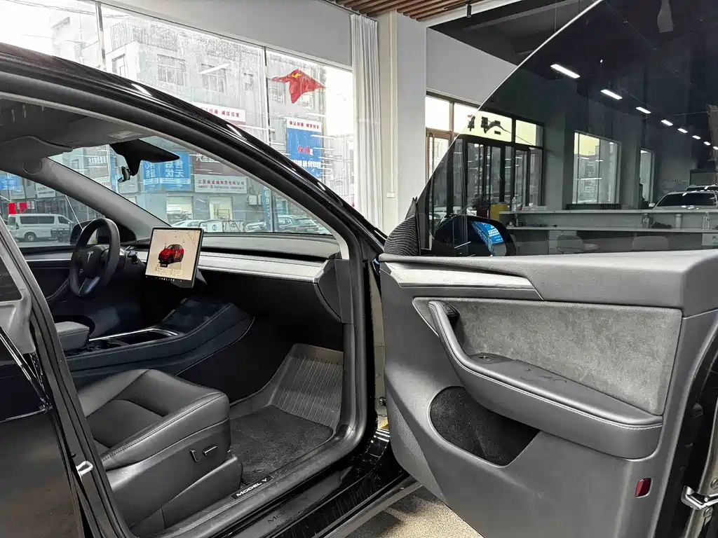Tesla Model Y — миниатюра 9