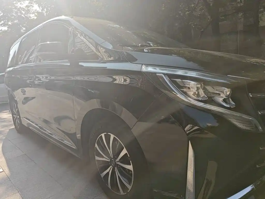 GAC Motor Trumpchi M8 — миниатюра 3
