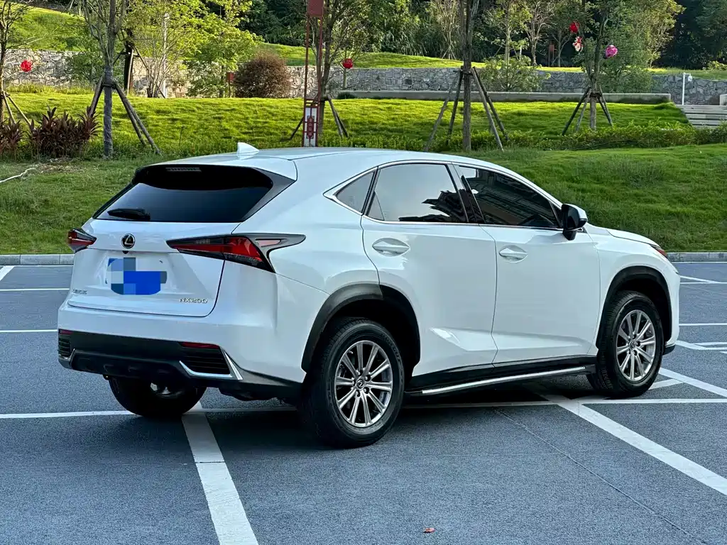 Lexus NX — миниатюра 8
