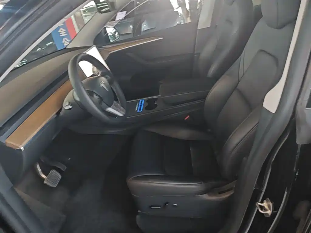 Tesla Model Y — миниатюра 15