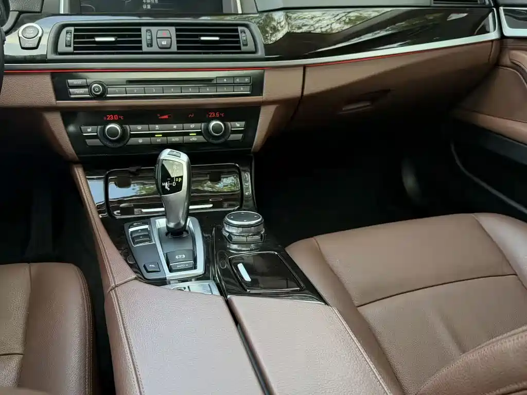BMW 5 Series 5 2017 525Li Lead