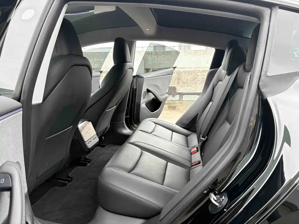 Tesla Model 3 — миниатюра 13