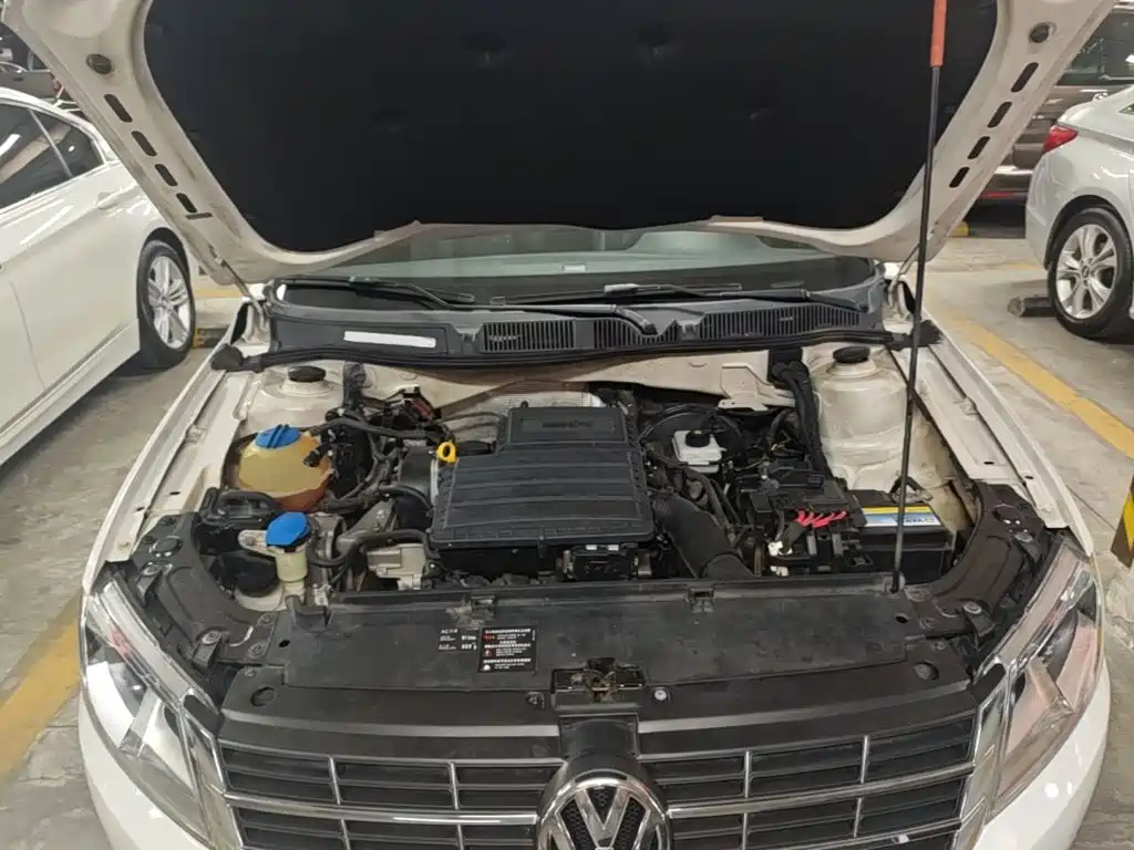 Volkswagen Gran Lavida — миниатюра 20
