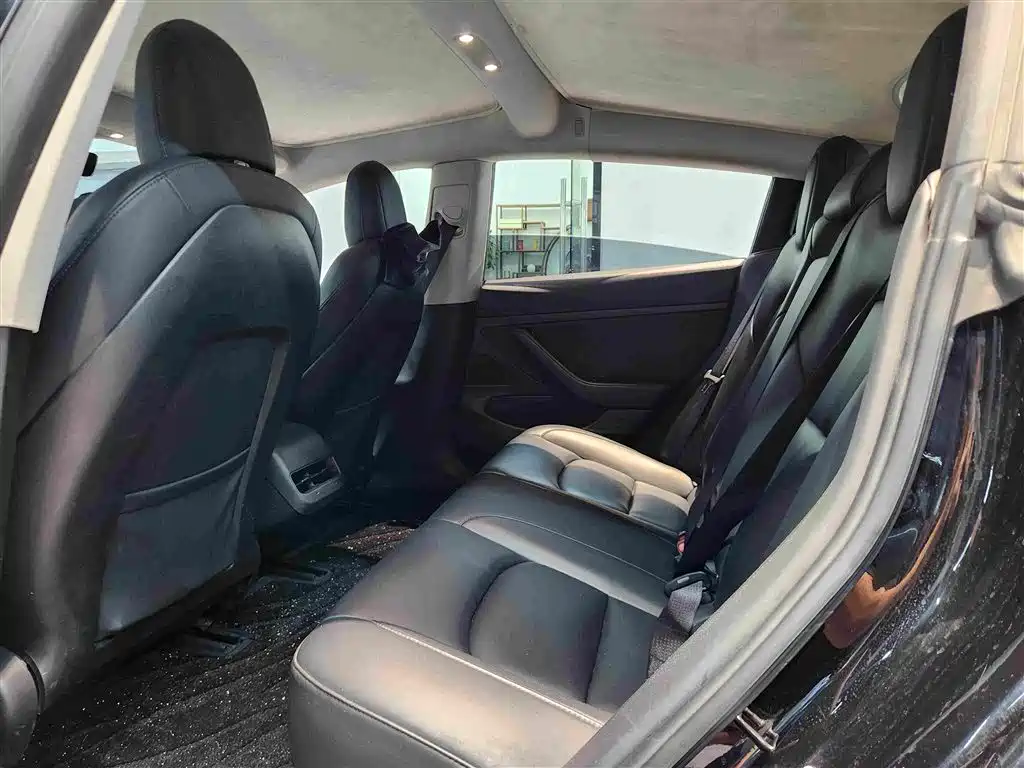 Tesla Model 3 — миниатюра 5