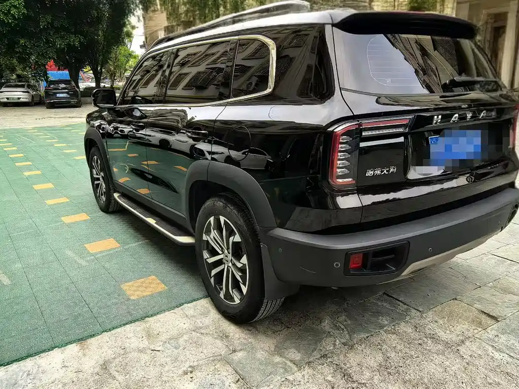 HAVAL BIG DOG