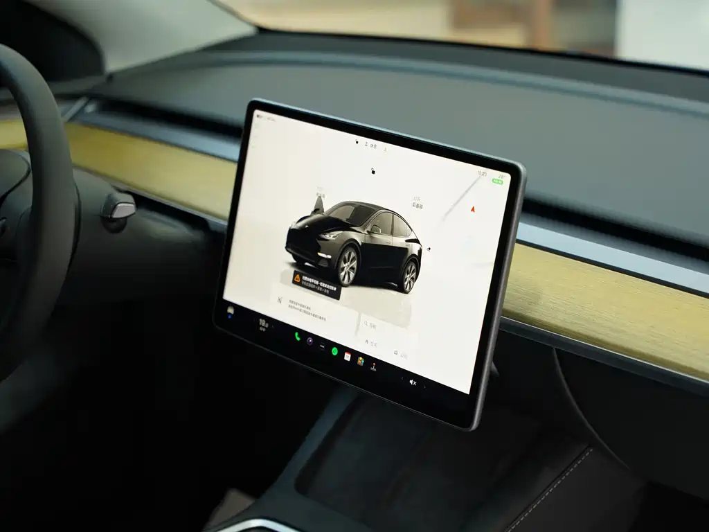 Tesla Model Y — фотографии объявления, Фото 14