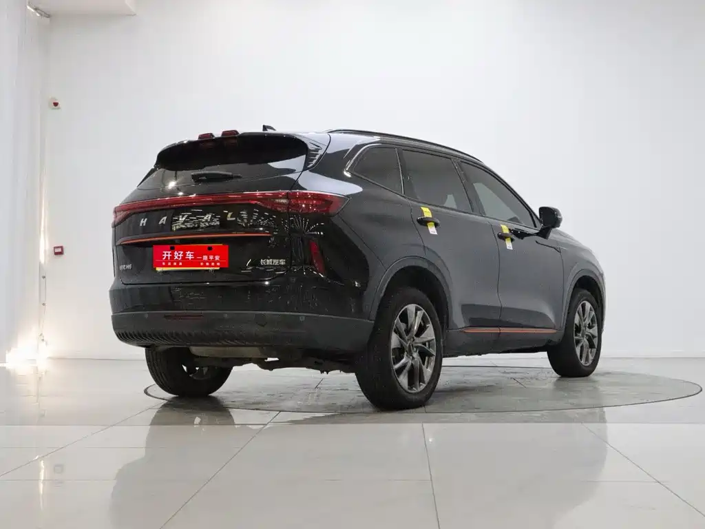 Haval H6 — миниатюра 4