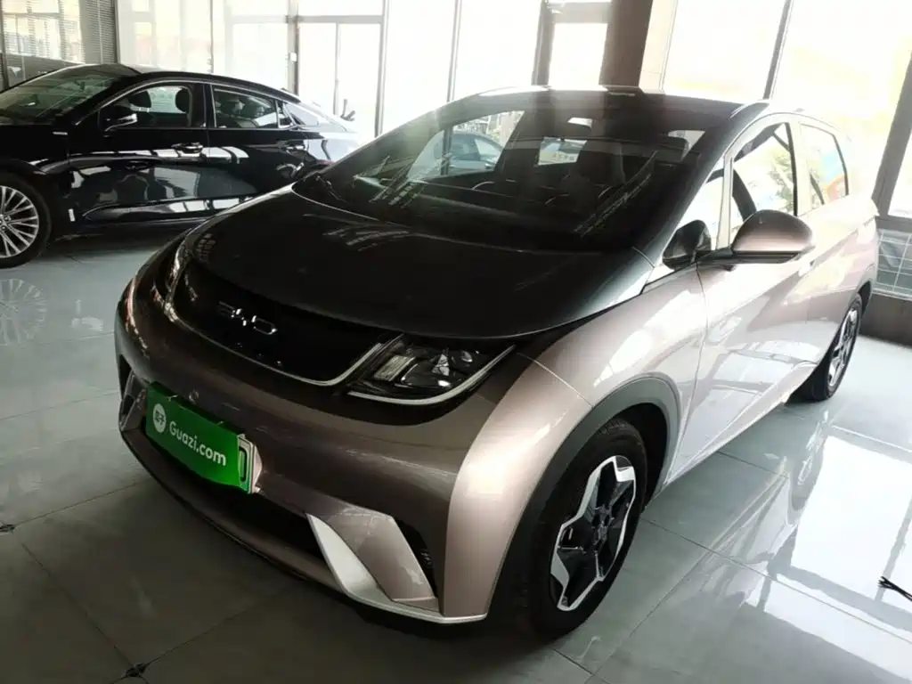 BYD Dolphin — миниатюра 2