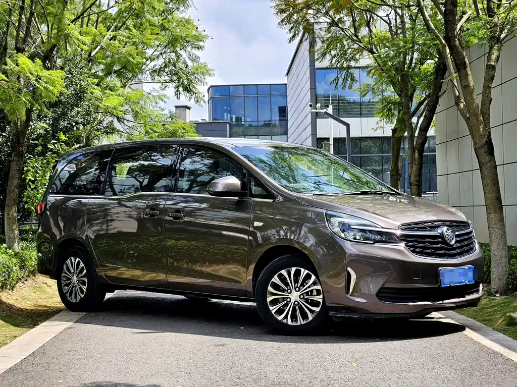 Buick GL8 — миниатюра 3
